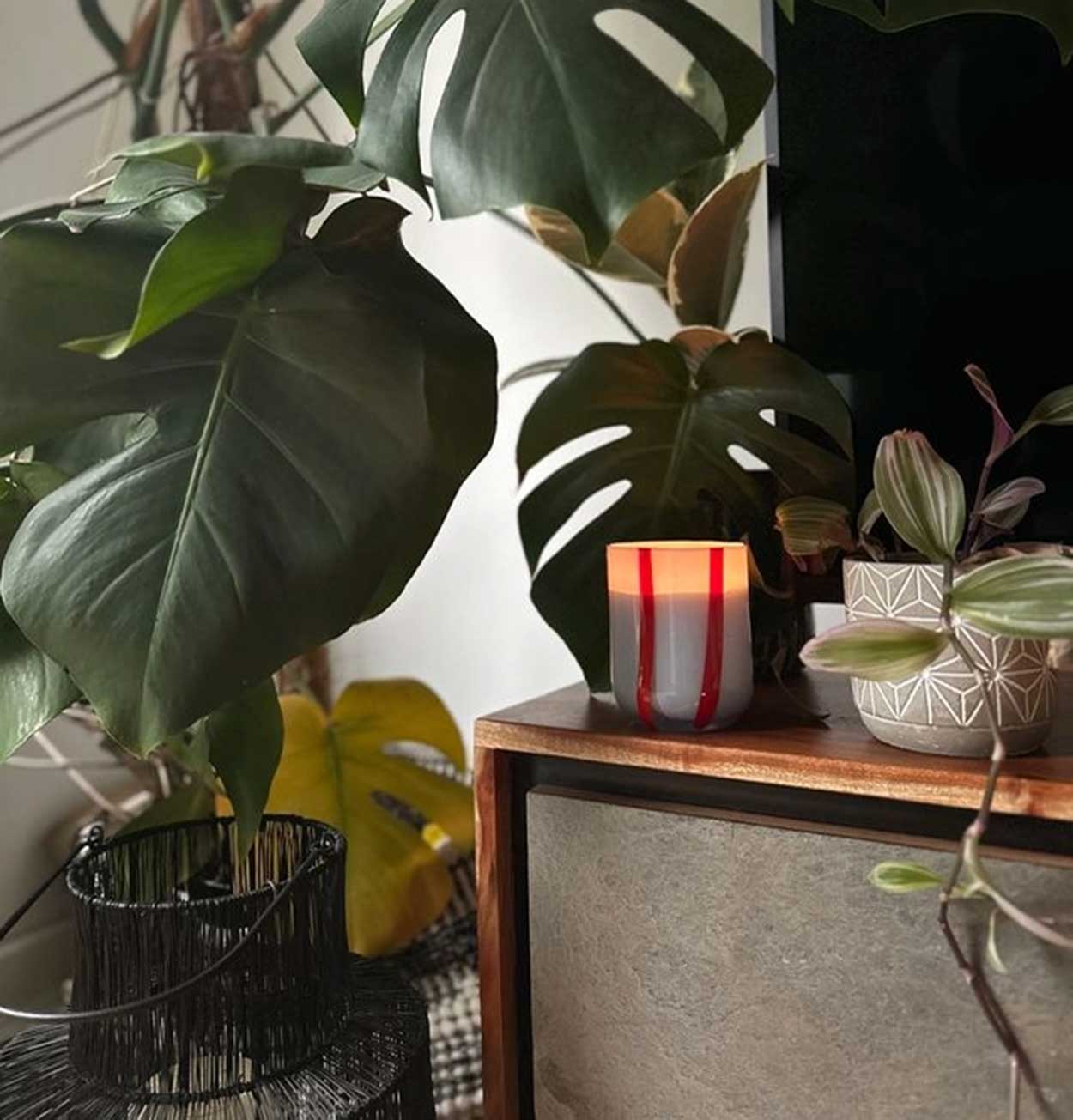 MÆGEN Atina Candle – Tomato & Mint Leaf